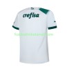 Fußballtrikots Palmeiras 2023-2024 Kurzarm Auswärts-trikot kaufen